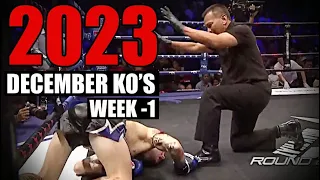 MMA & Boxing Knockouts I December 2023 Week 1