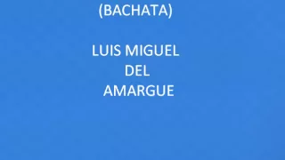 Bala perdida - Luis miguel del amargue