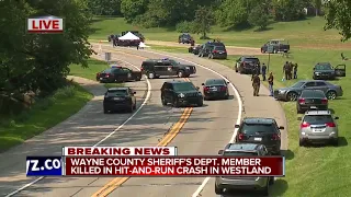 Wayne County Sheriff's deputy hit and killed while jogging