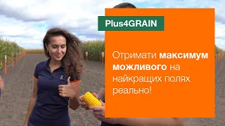 Plus4GRAIN. Отримати максимум можливого на найкращих полях реально! | Кукурудза KWS