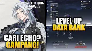 TIPS Meningkatkan Level DATA BANK Dengan Cepat! | Wuthering Waves