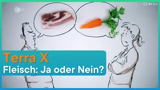 Terra X: Braucht der Mensch Fleisch?