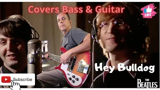 Hey Bulldog cover harley benton bass #guitarcover #beatles #bass #cover