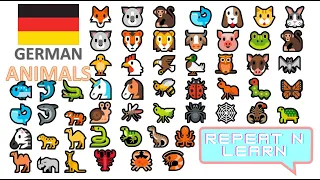 Learn Animals - German with Emojis - 🦊 🐨 🐒 🐋 🐶 🐱 🐨 🐯 🦁 🐮