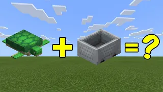 I Combined a Minecart and a Turtle in Minecraft - Here's WHAT Happened...