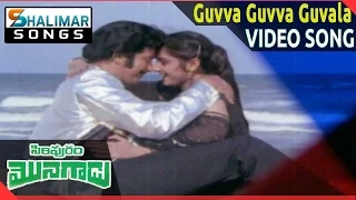 Siripuram Monagadu Movie || Guvva Guvva Guvala Video Song || Krishna, Jayaprada || Shalimarsongs