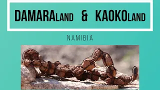 Damaraland + Kaokoland