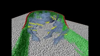 Mitochondria under stress - Dr Georg Ramm  - taken using Cryo-electron Tomography imaging