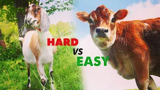 BEST AND WORST Livestock for Beginners
