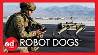 ‘Unstoppable’ Robot Dogs Join US Air Force