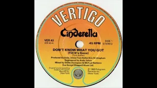 Cinderella - Don't Know What You Got (Till It's Gone) (1988)