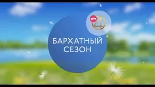 Бархатный сезон на ТНТ4!