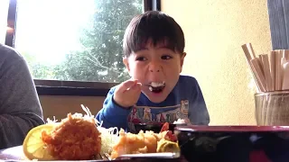 白飯大好きおいちゃんお昼ご飯　　ひなごんとおいちゃん　　SunflowerTV