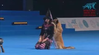 FCI Dog dance World Championship 2016 –Heelwork to music final - Lusy Imbergerova and Deril (Italy)