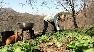 Living in the Korean countryside is fun with spring flowers and delicious spring vegetables~!!