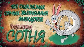 100 Самых Ошалелых Жизненных Анекдотов! ТУДЕЙСКАЯ СОТНЯ №4