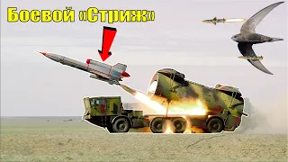 Беспилотник Ту-141 Стриж - что за «птица»?