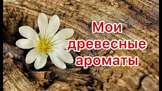 О гендерной принадлежности парфюмов и о древесных ароматах в нашей коллекции.