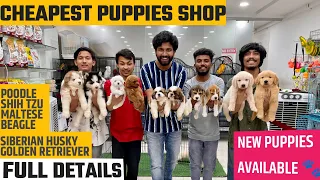 Best Quality Pet Shop | New Puppies Available | Best Price in Hyderabad