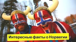 Норвегия. Интересные факты о Норвегии