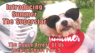 THAOU Lock-in Shoot Part5 (Introducing Summer The Superstar)