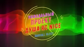 Эмиль Салес Охота на волков - Владимир Высоцкий NICE karaoke RC ID 2121