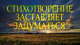 Стих с глубоким смыслом "Живи и не суди" Ирина Самарина-Лабиринт Читает Леонид Юдин