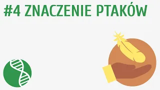 Znaczenie ptaków #4 [ Ptaki ]