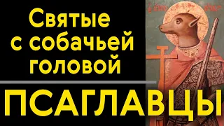 Псаглавцы - Святые с собачьей головой. Запись эфира.