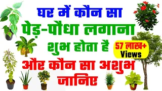 घर में कौन सा पेड़-पौधा लगाना शुभ होता है और कौन सा अशुभ जानिए | Vastu Plants for Home in Hindi