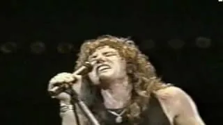 Whitesnake - Rock in Rio (1985)