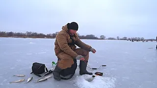 В этой протоке полно рыбы ! Зимняя рыбалка на ОКЕ! Рыбалка с ночёвкой!