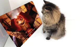 CAT REACTION to ALL Bosses Deaths Comparison - Poppy Playtime: Chapter 3 VS Chapter 2 VS Chapter 1.