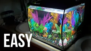 How to Set Up a Fish Tank (Detailed Version)