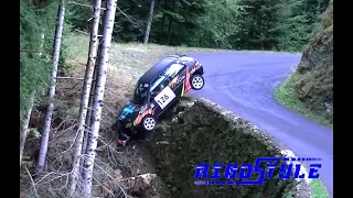 Rallye Velay Auvergne 2020 Crash, mistake By Rigostyle #rallye #2020 #France