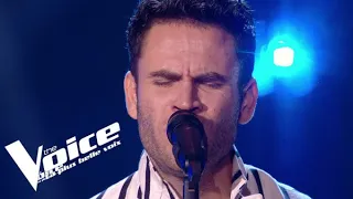 Fréro Delavega - Le cœur éléphant | Lighter | The Voice France 2021 | Blinds Auditions