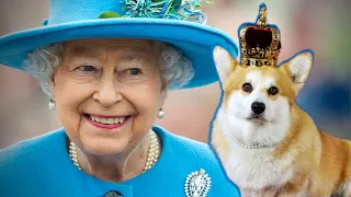 Os pets da realeza vivem bem DEMAIS: rainha Elizabeth faz de tudo pra eles| Família Real | VIX Icons