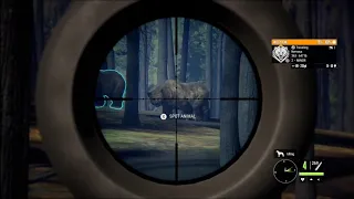 The hunter call of the wild shot/kill compilation