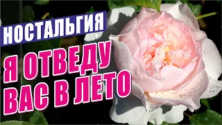 РОЗЫ В САДУ! ПРОГУЛКА ОДНИМ ДУБЛЕМ