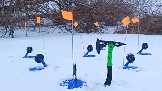 Рыбалка на жерлицы. УДАЧНАЯ РЫБАЛКА В ФЕВРАЛЕ