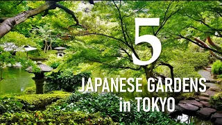 5 Japanese Gardens in TOKYO