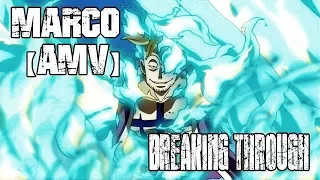 One Piece -  Marco 「ＡＭＶ」► Breaking Through ♪   -1440pᴴᴰ-