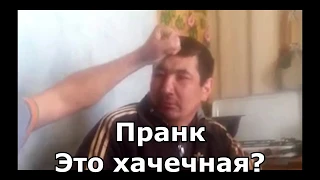 Коллекция пранков - Это хачечная?