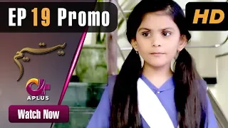 Yateem - EP 19 Promo | Aplus| Sana Fakhar, Noman Masood, Maira Khan | Pakistani Drama | C2V1