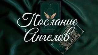 🌿 ПОСЛАНИЕ ОТ ВАШИХ АНГЕЛОВ 🌿