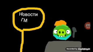 Новости ГМ #6 (Angry Birds Wiki)