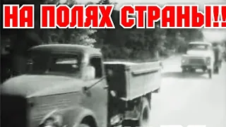 ХРОНИКА СССР! 1969 ГОД! НА ПОЛЯХ СТРАНЫ!