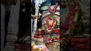 Mangal Aarati Of Kasi Vishalakshi Maa On Dussehra 2022 /#shorts  / #shaktipeeth  #aarti