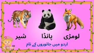 Animals Name in Urdu - Urdu mein Janwaron ke Naam - Animals Name in Urdu Moko Loko Tv - Alif Bay Pay