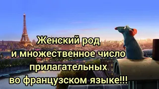 Французский для начинающих. Женский род и множественное число прилагательных.